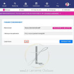 4. Entrer le code promo Wyylde "LANT"