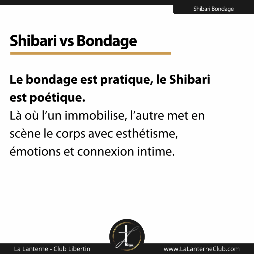 difference shibari vs bondage