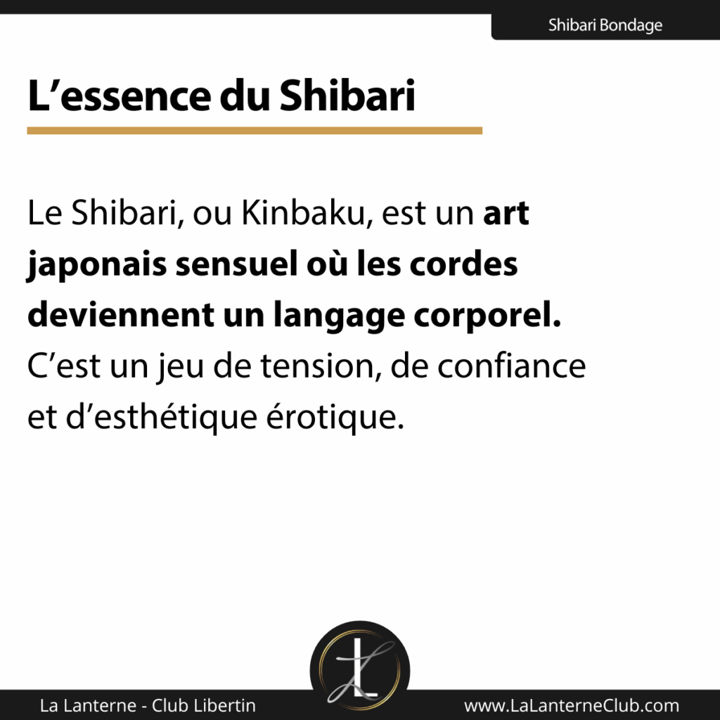 essence shibari art bondage